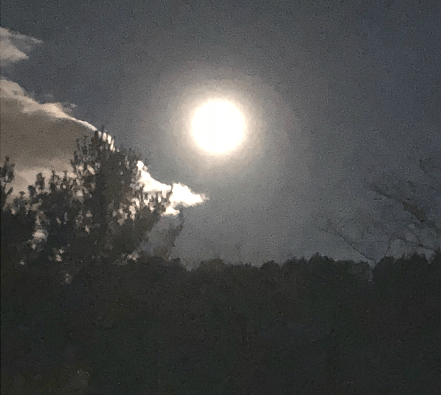 Pic of the full moon