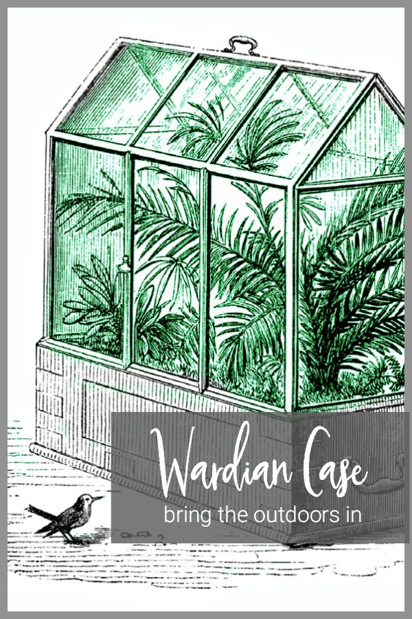 Wardian Case indoor garden illustration