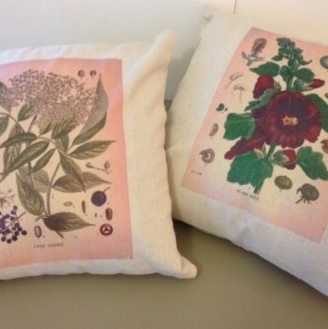Botanical Print Pillows