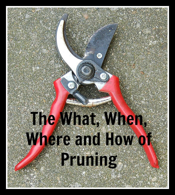 Garden hand pruners