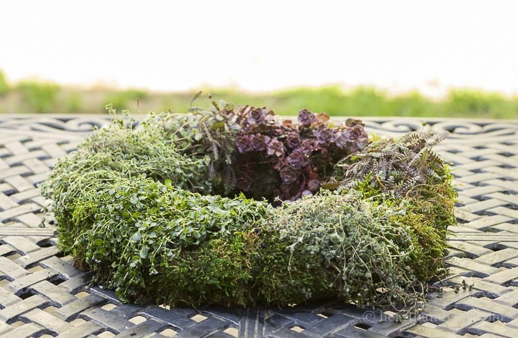 Living wreath centerpiece on a patio table.