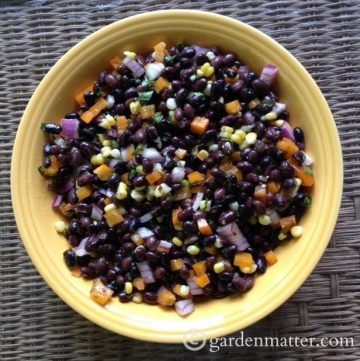 Black Bean Salad