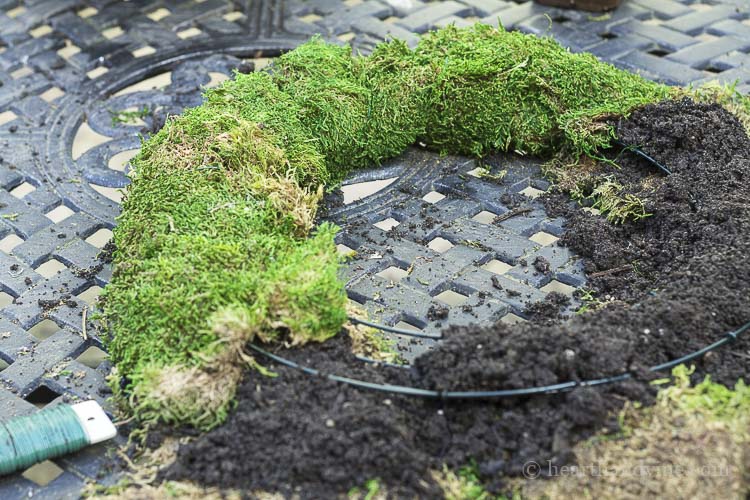 Wrapping soil up with moss on living wreath wire frame.