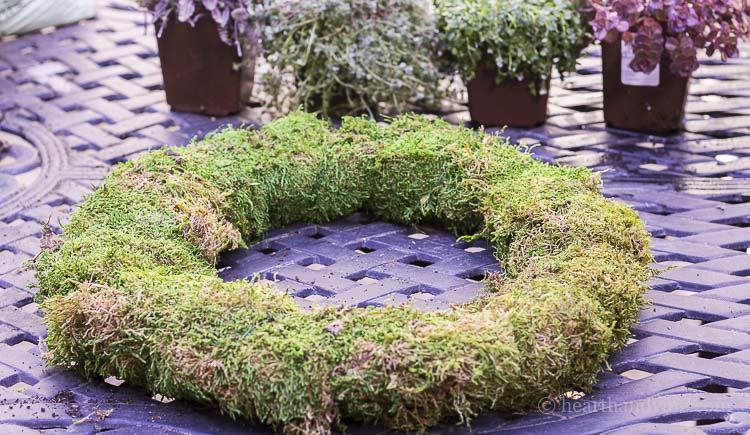 Moss and soil wire wreath frame.