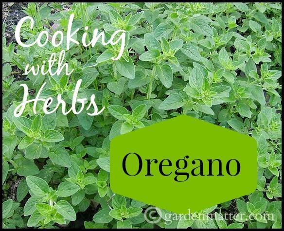 Cooking with Oregano