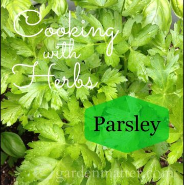 Cooking with Parsley