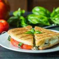 Caprese panini sandwich with tomatoes, basil and fresh mozzerella