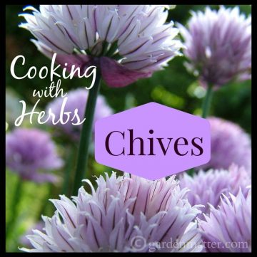 Cooking with Herbs - Chives