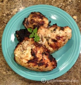 Grilled Chicken Oregano