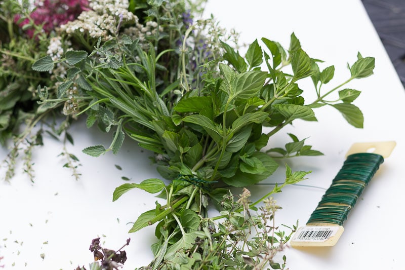 Floral wire paddle coming off a wire wreath wrapped around a bunch of mint.