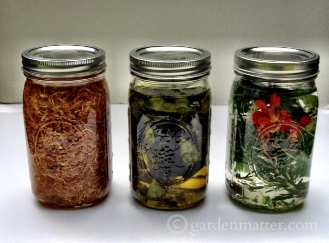 Oil & Vinegar Infusions