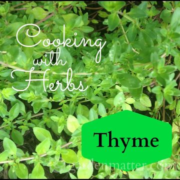 Cooking with Thyme