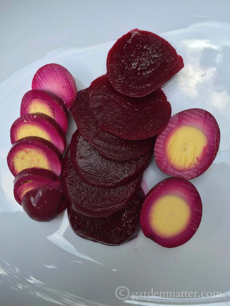Pickled Beets Eggs