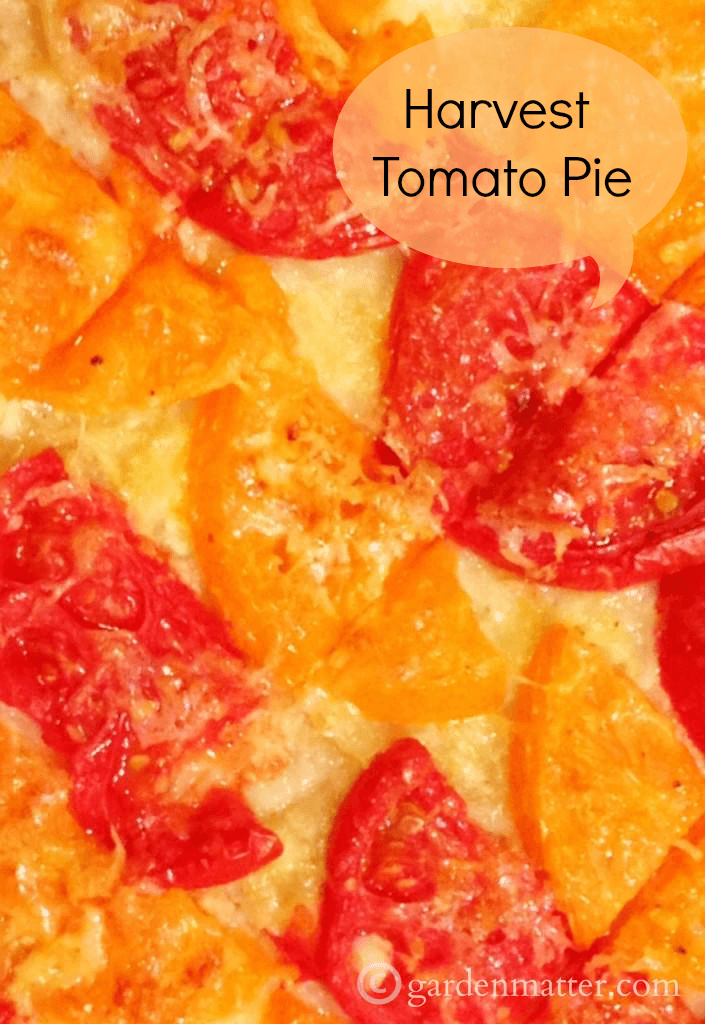 Harvest Tomato Pie