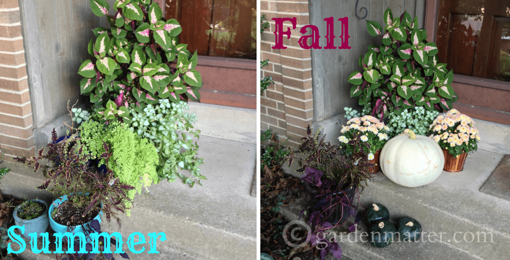 Summer to Fall decor