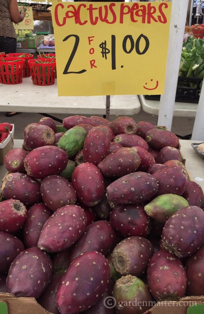 Cactus Pears-Fruit Market - Strip District - gardenmatter.com