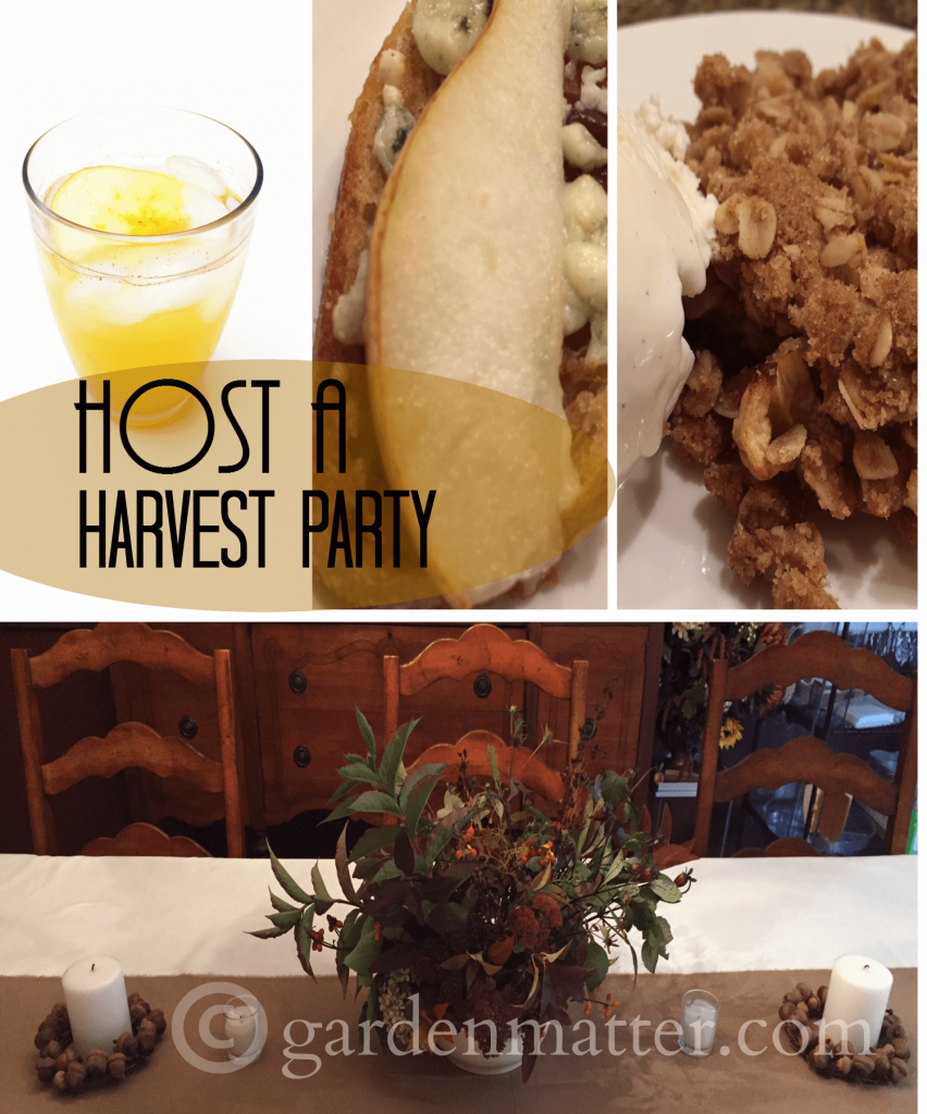 Host a Harvest Party