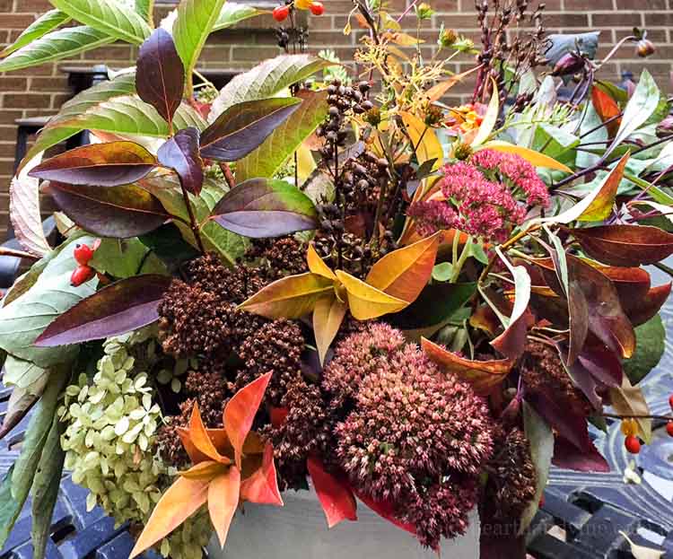 A fall centerpiece easily be made from plants and flowers in your own backyard. Learn how to create something stunning and free for your holiday table.