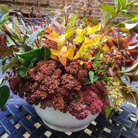 A fall centerpiece easily be made from plants and flowers in your own backyard. Learn how to create something stunning and free for your holiday table.