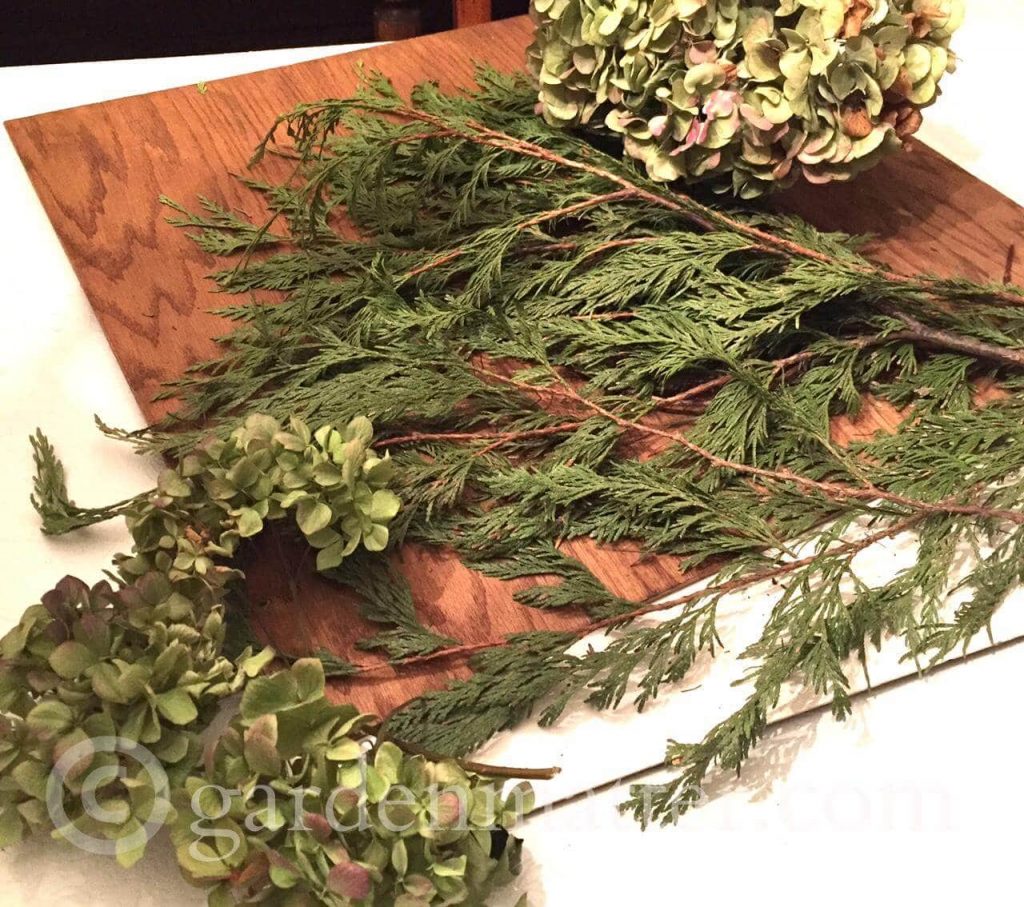 Dried Hydrangea and Cedar