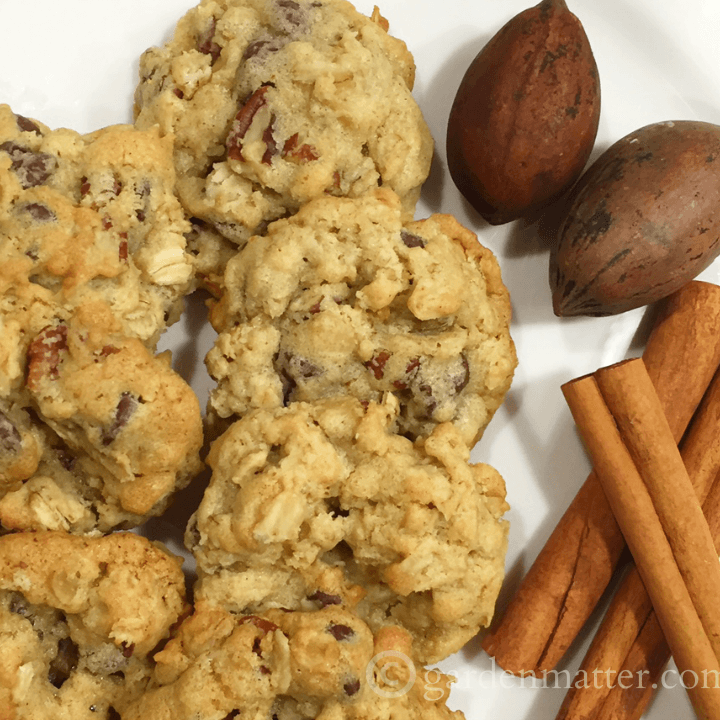 Twisted Chocolate Chip Cookies