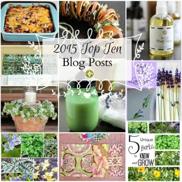 2015 Top Ten Blog Posts collage - gardenmatter.com