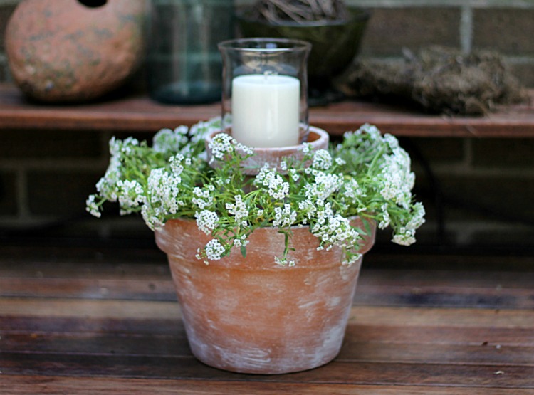 flower pot centerpiece with alyssum flowers