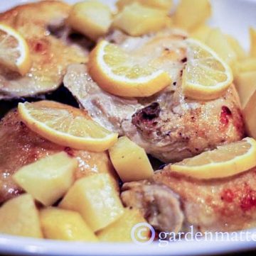 Lemon Garlic Roasted Chicken with Potatoes