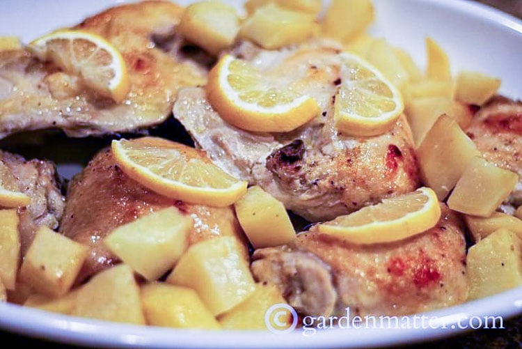 Lemon Garlic Roasted Chicken with Potatoes 