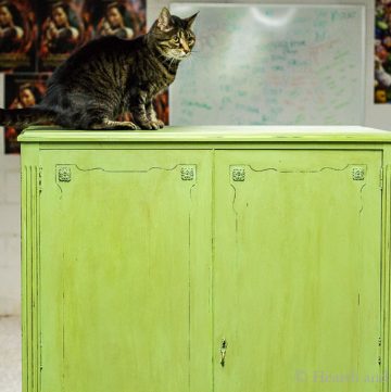 Painted chifferobe with cat on top
