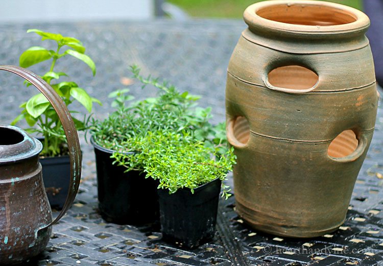 Strawberry pot and herbs