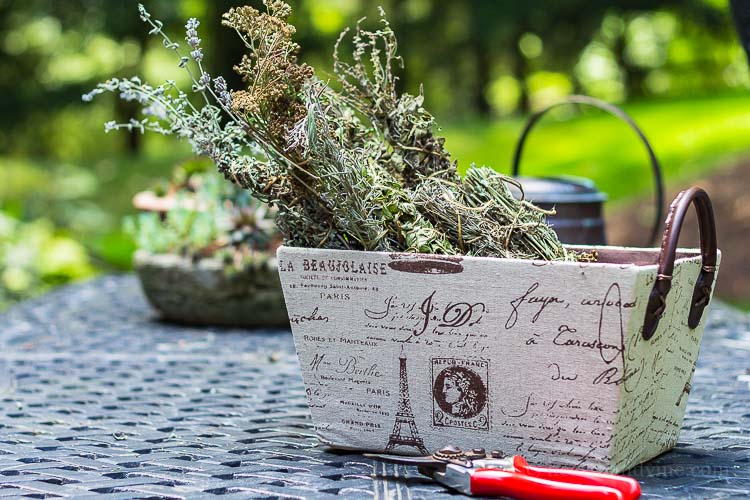 Dried Lavender Stem Bundles-Fire Starters