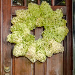 Large Limelight hydrangea wreath on a front door.