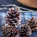 Waxed scented pine cones on a table.
