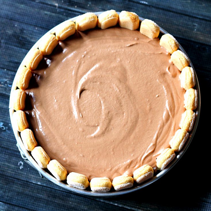 Chocolate Charlotte Cake with Lady Fingers for a Fancy Dessert