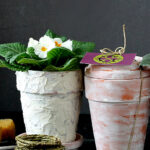 Two terra cotta pots. One with plaster and a primrose inside and one white washed with a saucer as a lid.