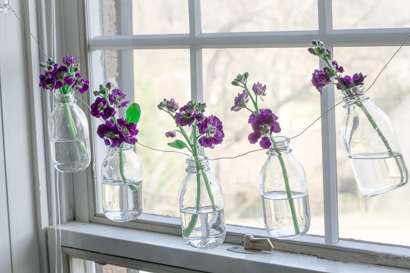 Purple stock flowers in bottle garland