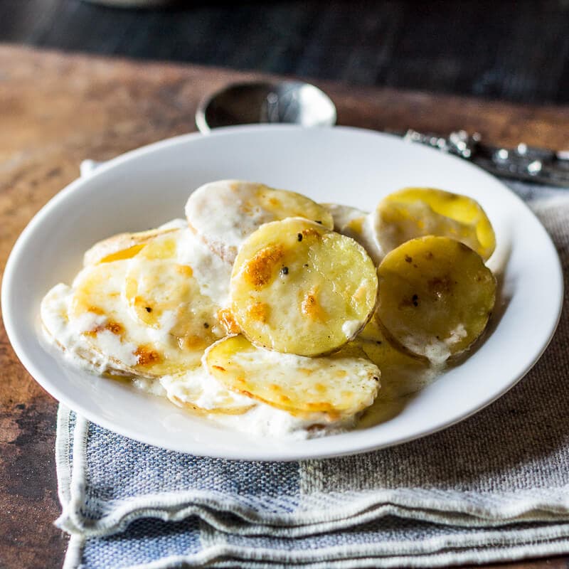 Individual serving of scalloped potatoes on a white plate.