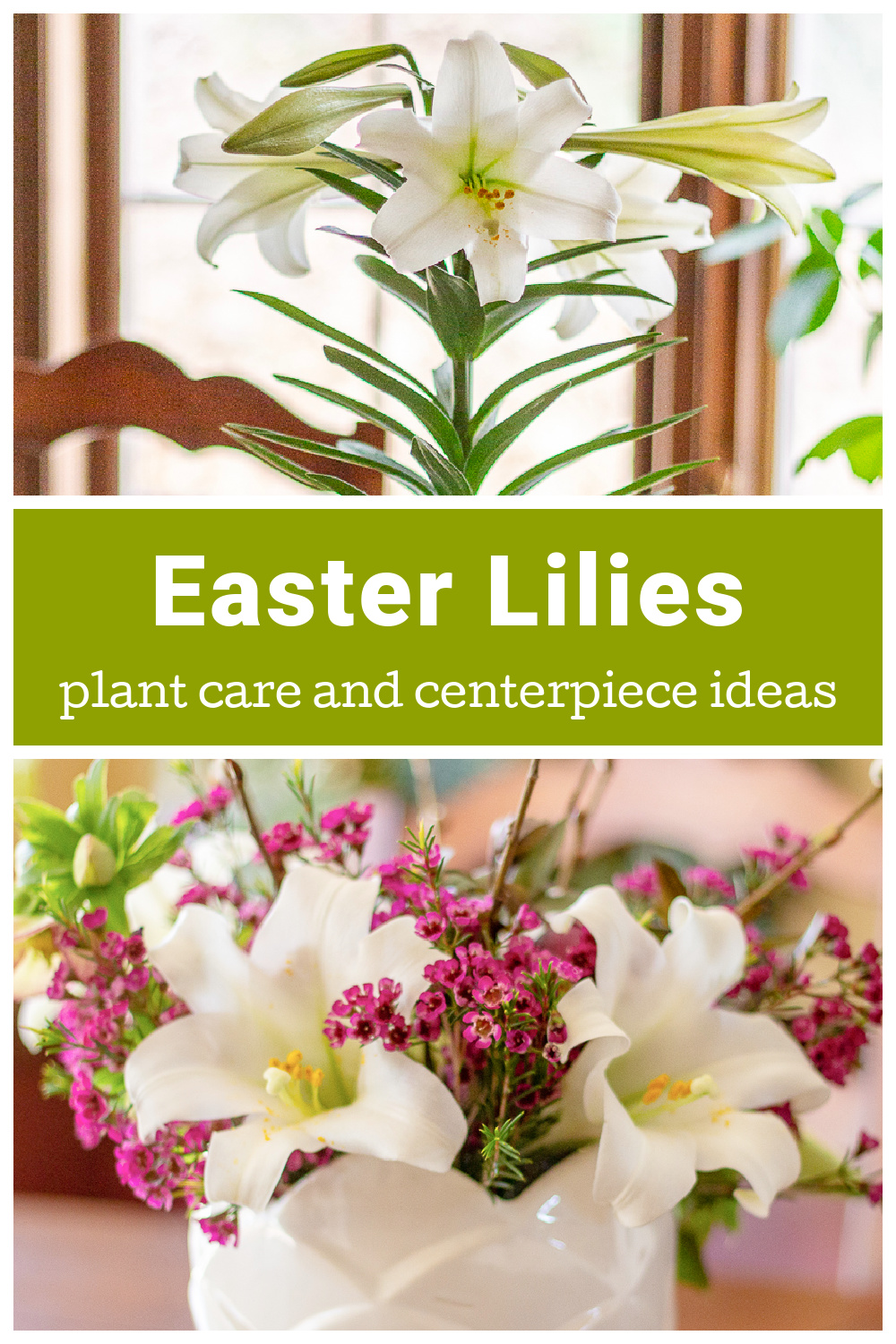 Easter Lilies, Their Meaning, and an Easter Centerpiece Hearth and Vine