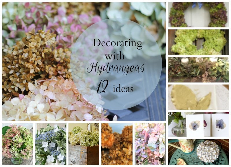 hydrangea decorating ideas collage