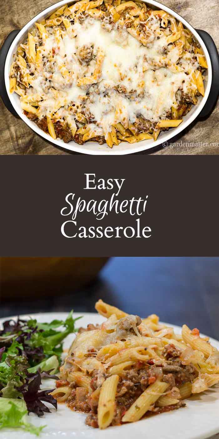 This easy spaghetti casserole recipe is a great comfort food that feeds a crowd and tastes great the next day. Easy to adapt and make ahead.
