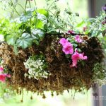 Hanging-Sphagnum-Moss-Planter-gardenmatter.com