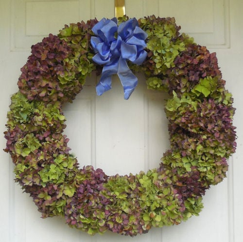 Hydrangea Wreath Gardening Cook ~ decorating with hydrangeas