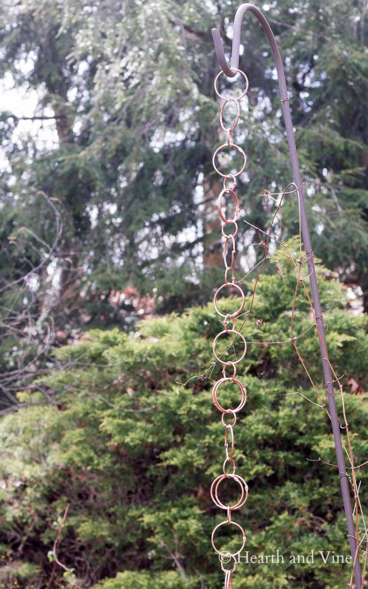 Copper rain chain in the garden