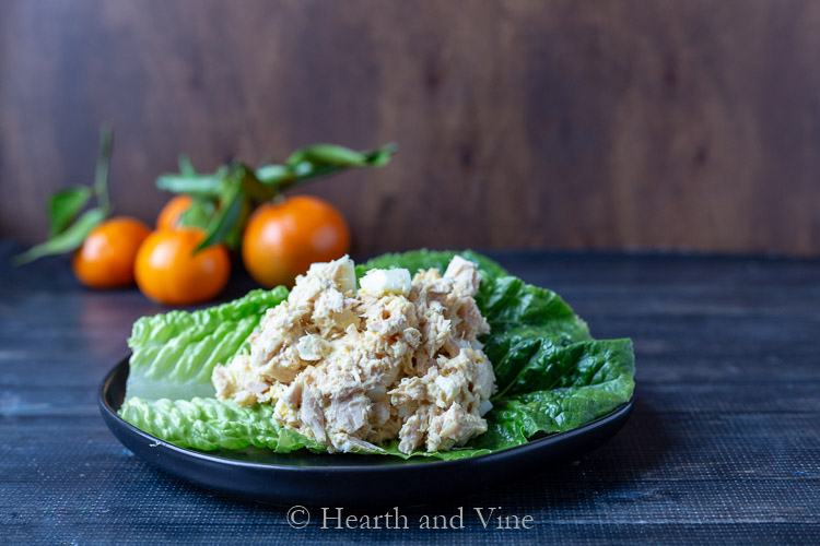 Tuna egg salad on lettuce