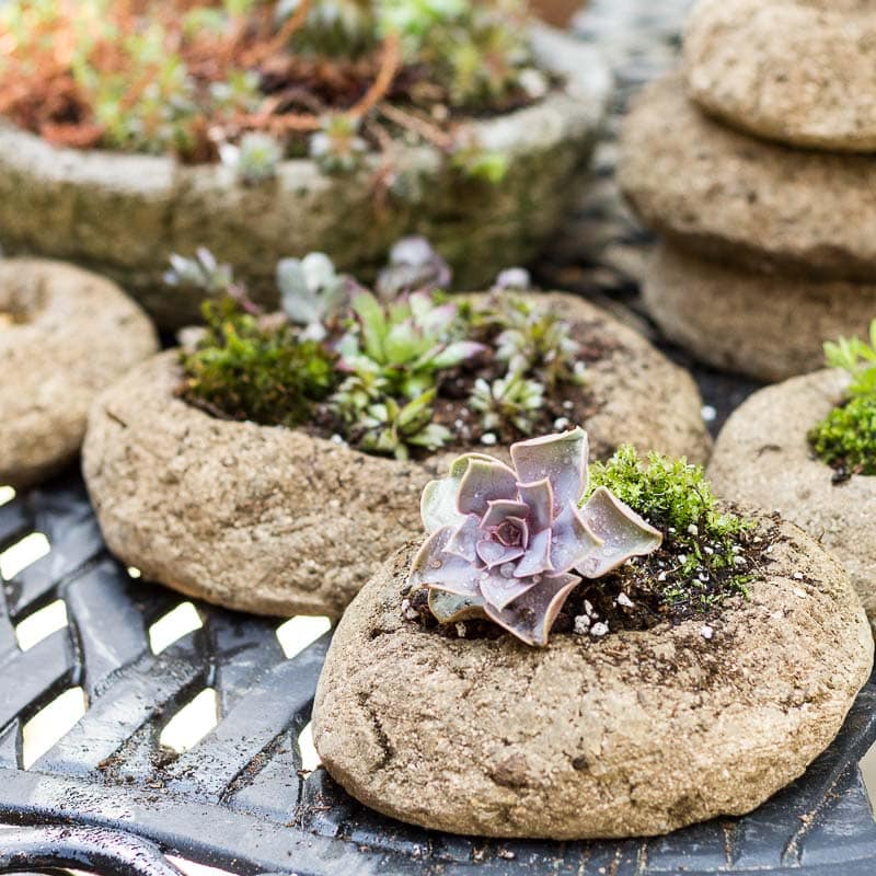 Hypertufa planted containers ~ Freeform Hypertufa Planters ~ gardenmatter.com