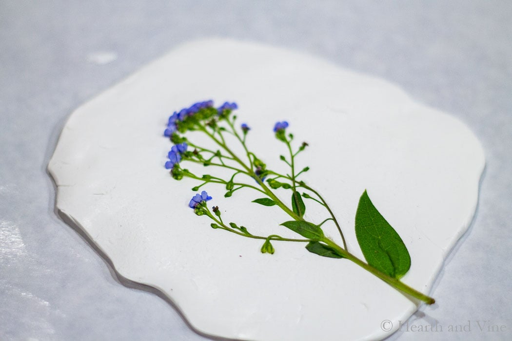 Flowers pressed into clay