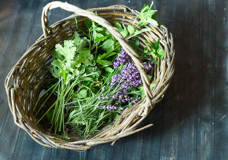 Fresh picked lavender, mint and rose scented geranium.