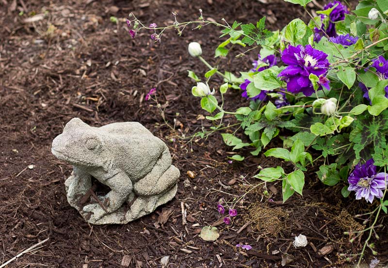 Frog ~ Lead Look ~ gardenmatter.com