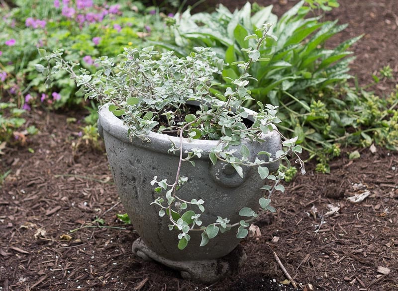 Lead Look Planter ~ Lead Look ~ gardenmatter.com